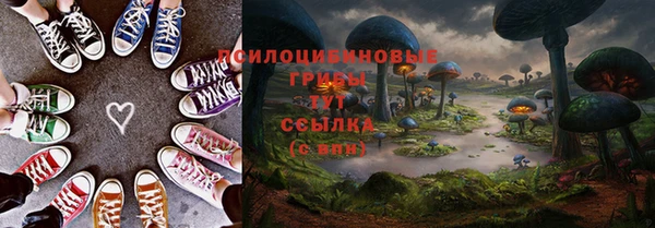 прущие крисы Мегион