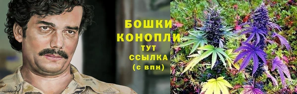 альфа пвп Медвежьегорск