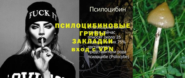 прущие крисы Мегион